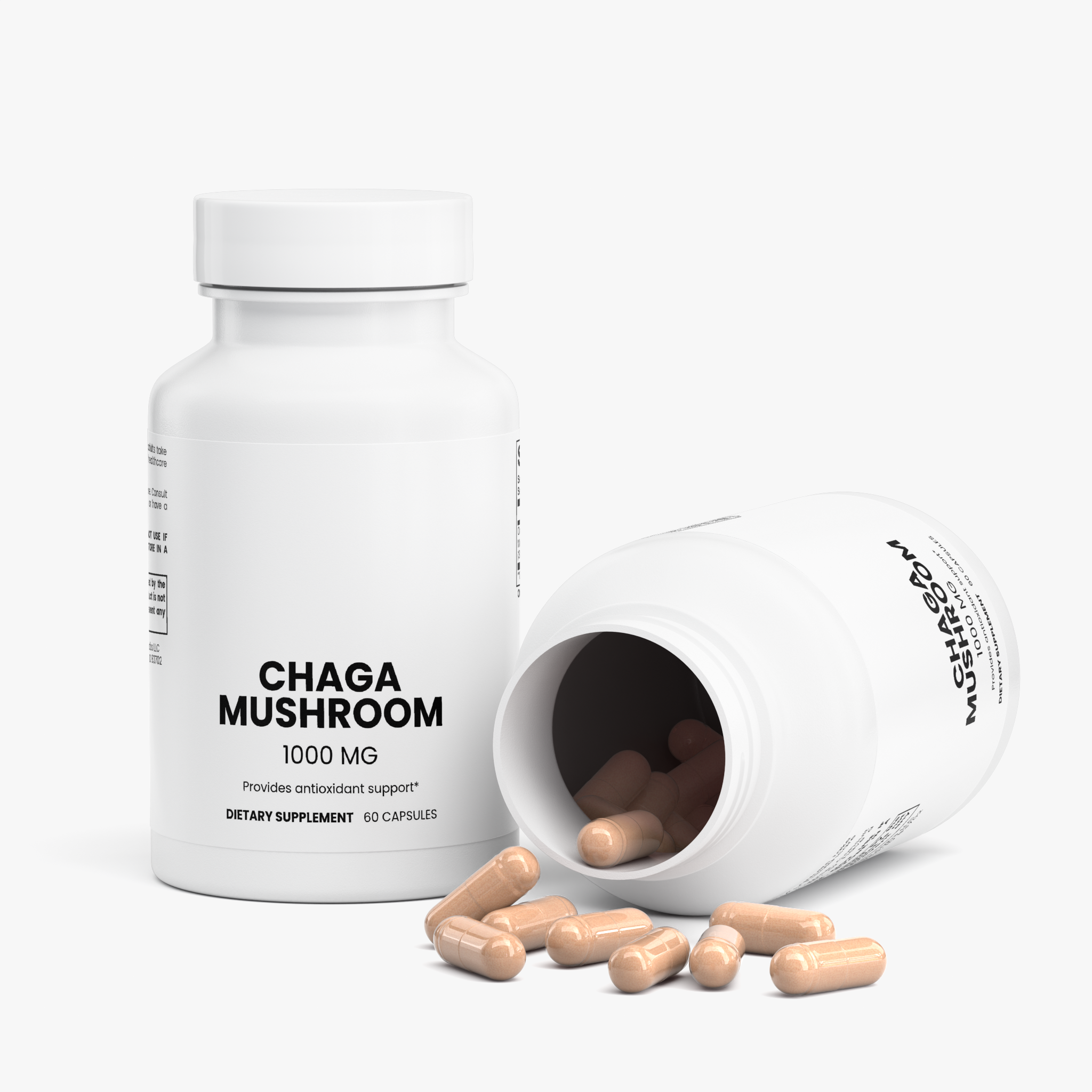 Chaga Mushroom